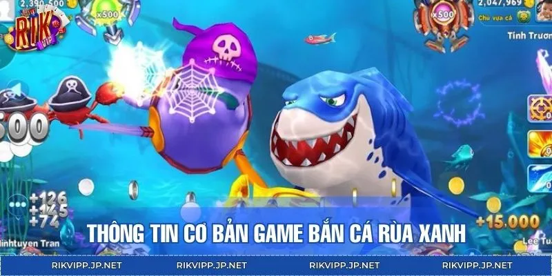 Thông tin quan trọng cần nắm khi tham gia săn cá Rùa Xanh
